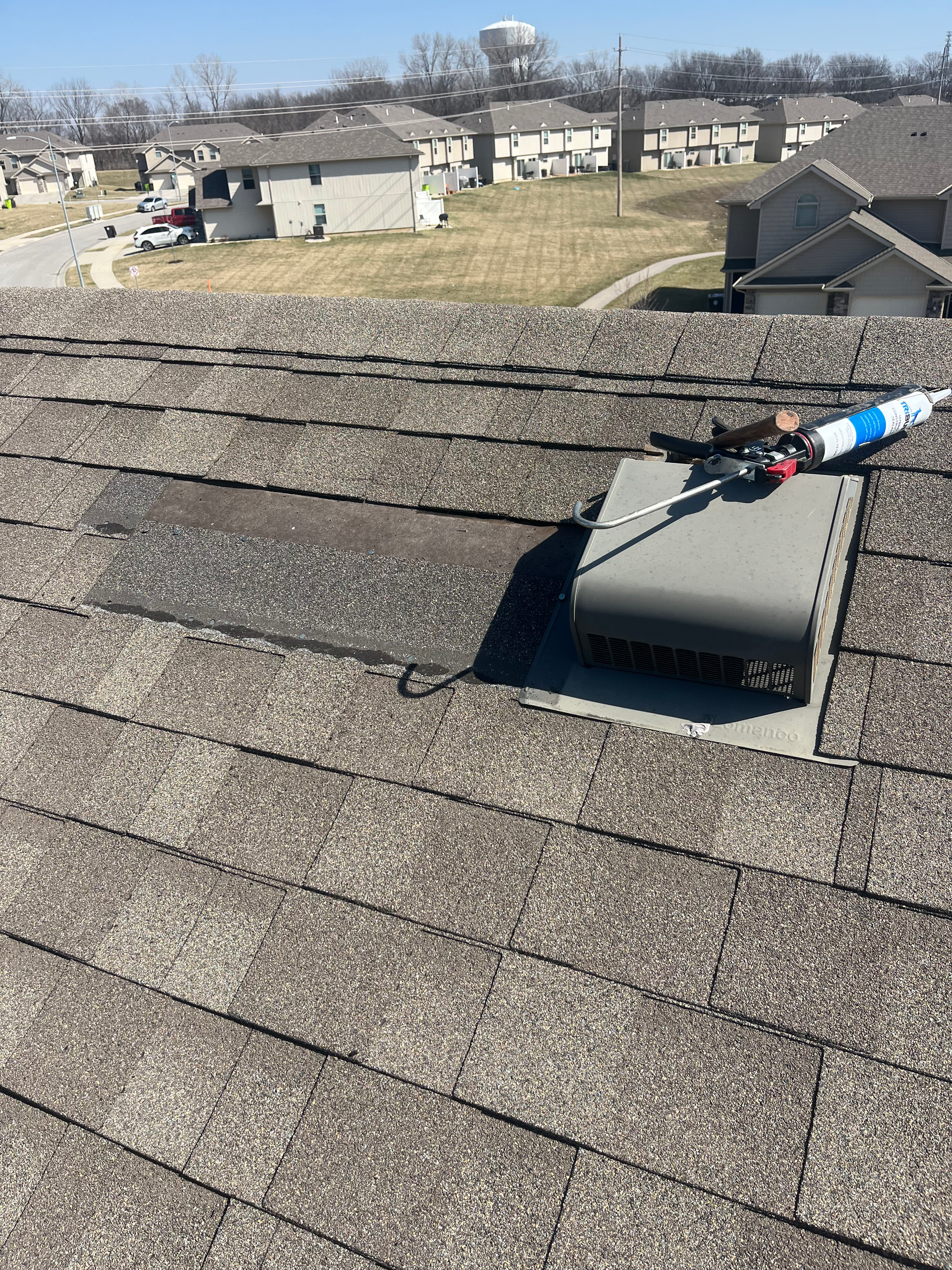 Asphalt Shingle Roof
