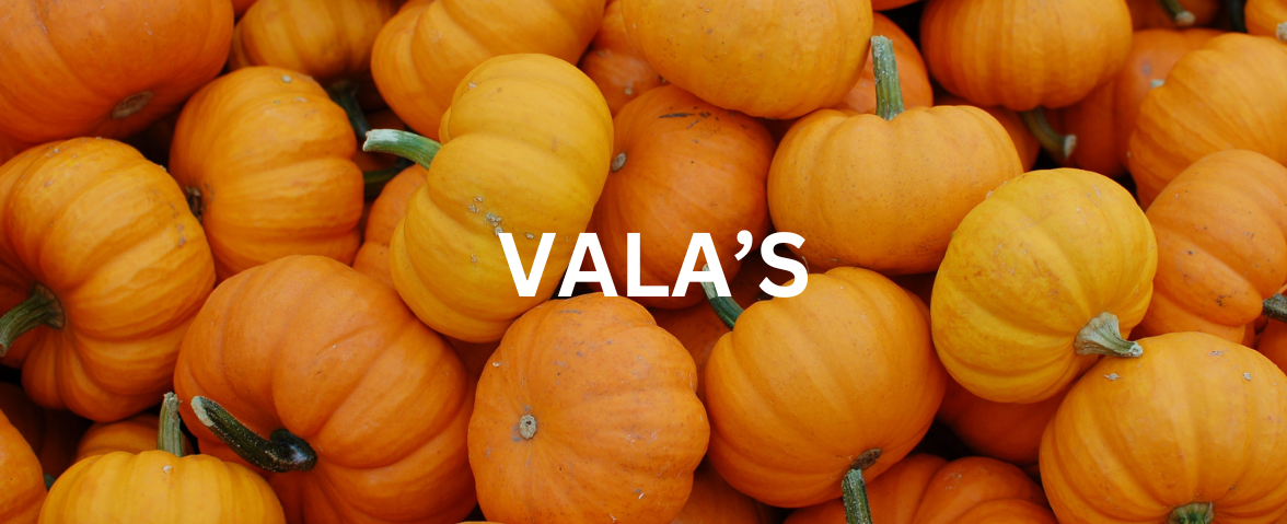 Vala's Outing— Vala's Pumpkin Patch
