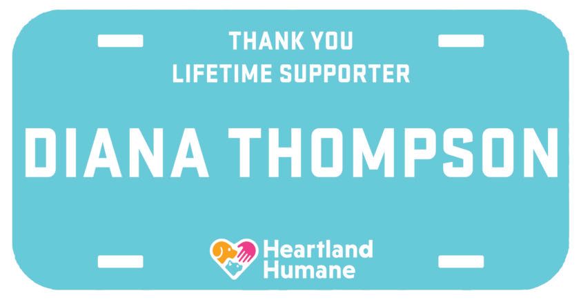 A blue license plate that says thank you lifetime supporter diana thompson
