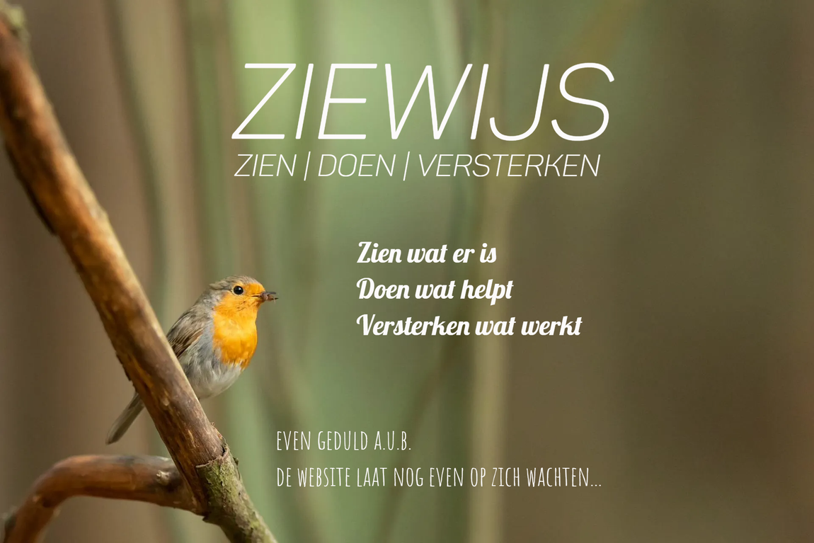 ZIEWIJS