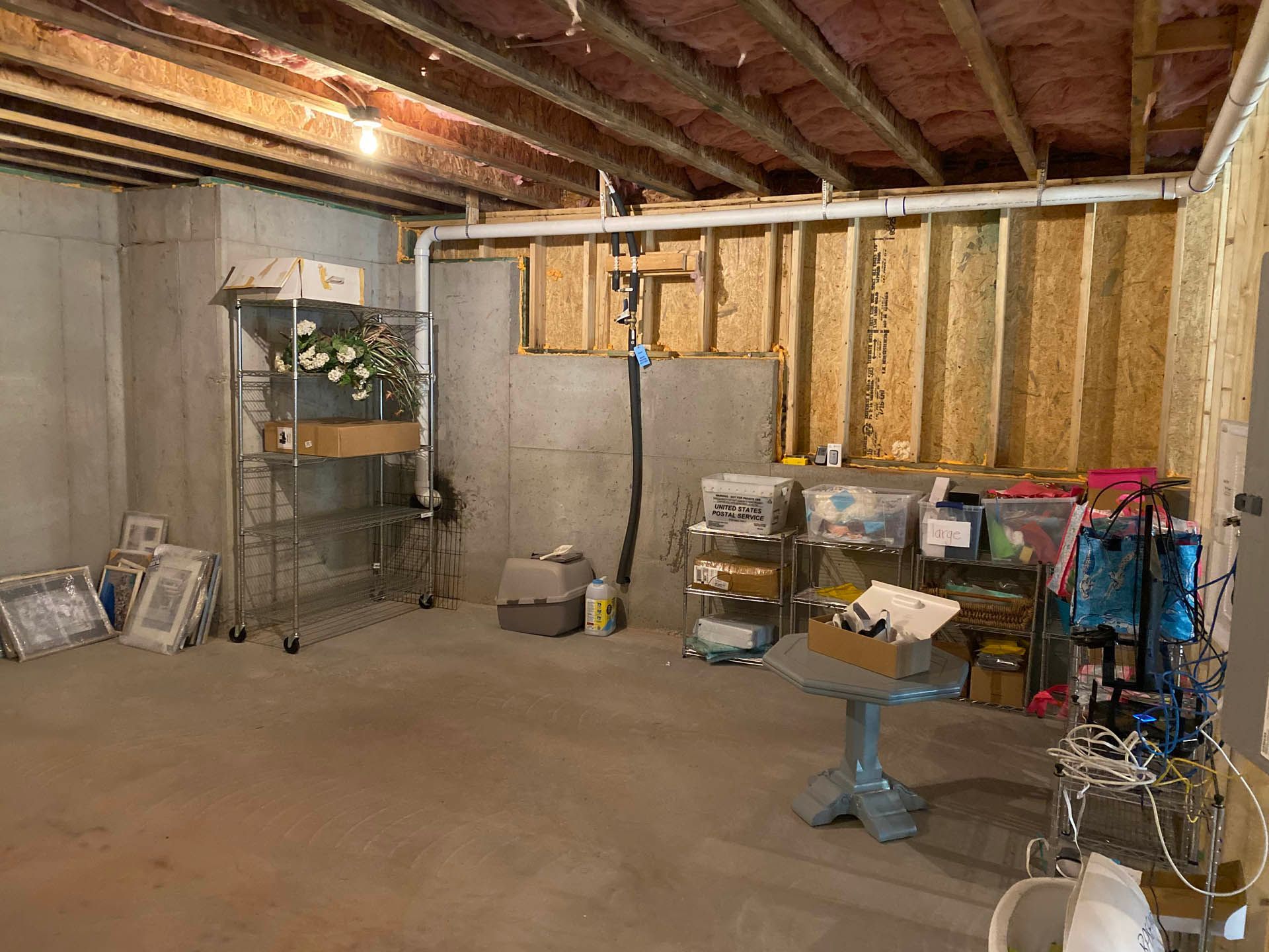 A basement room with unfinished walls and ceiling.  A metal shelving unit with plants sits near a concrete wall; various items are scattered about.
