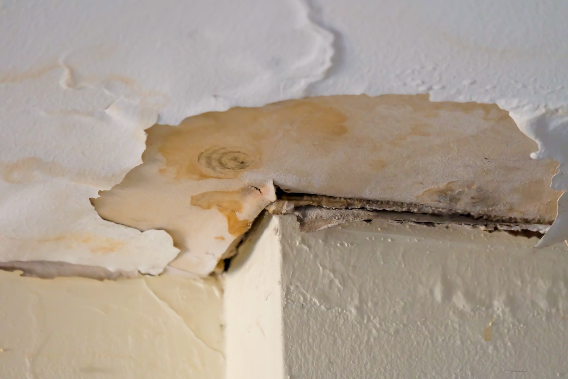 Water-damaged ceiling and wall with peeling paint, exposing stained wood, in a corner of a room.