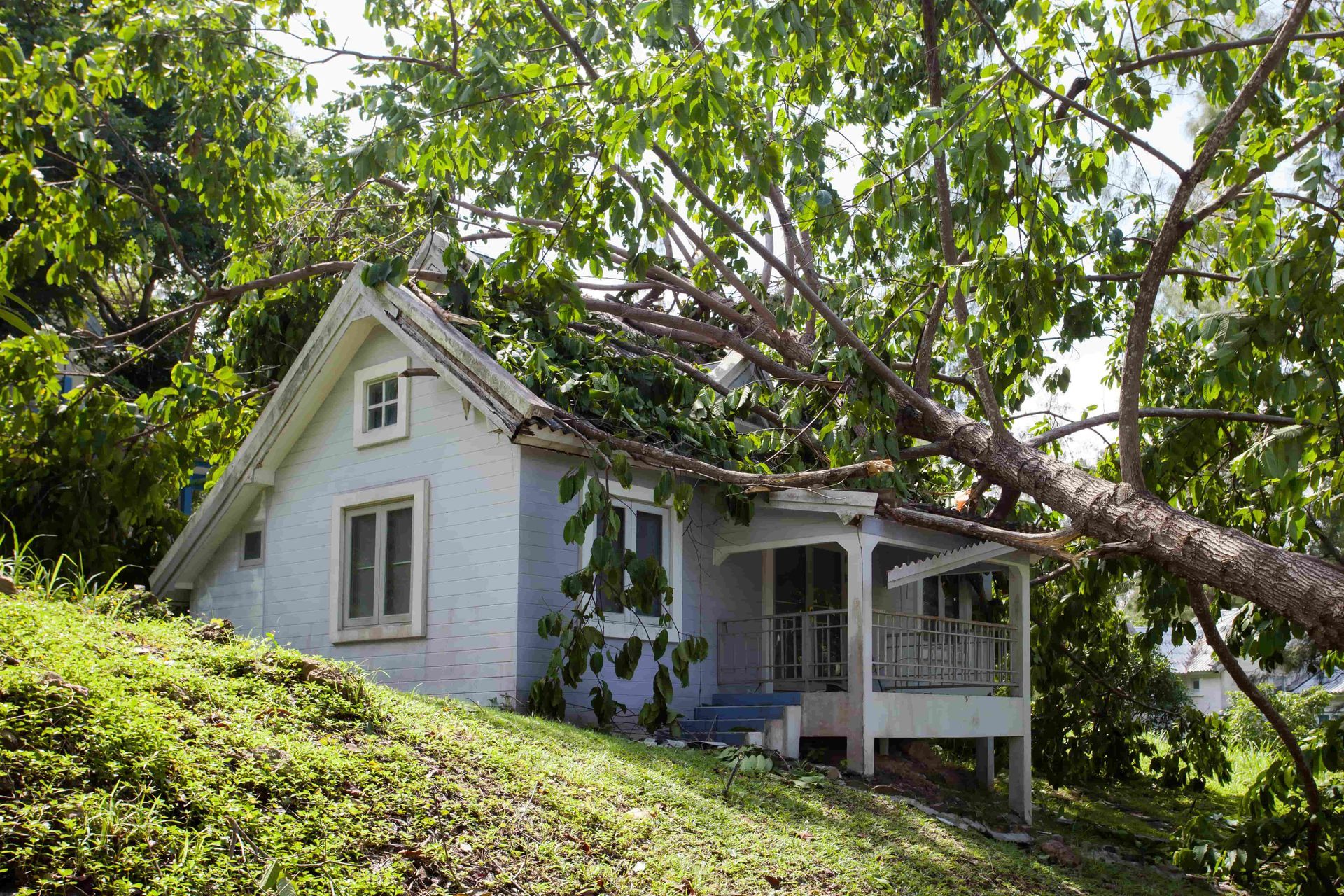 A white house with a tree fallen on its roof, amidst green foliage and grassy hill.