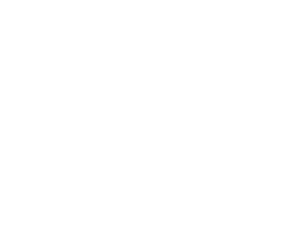 Bluestone Logo