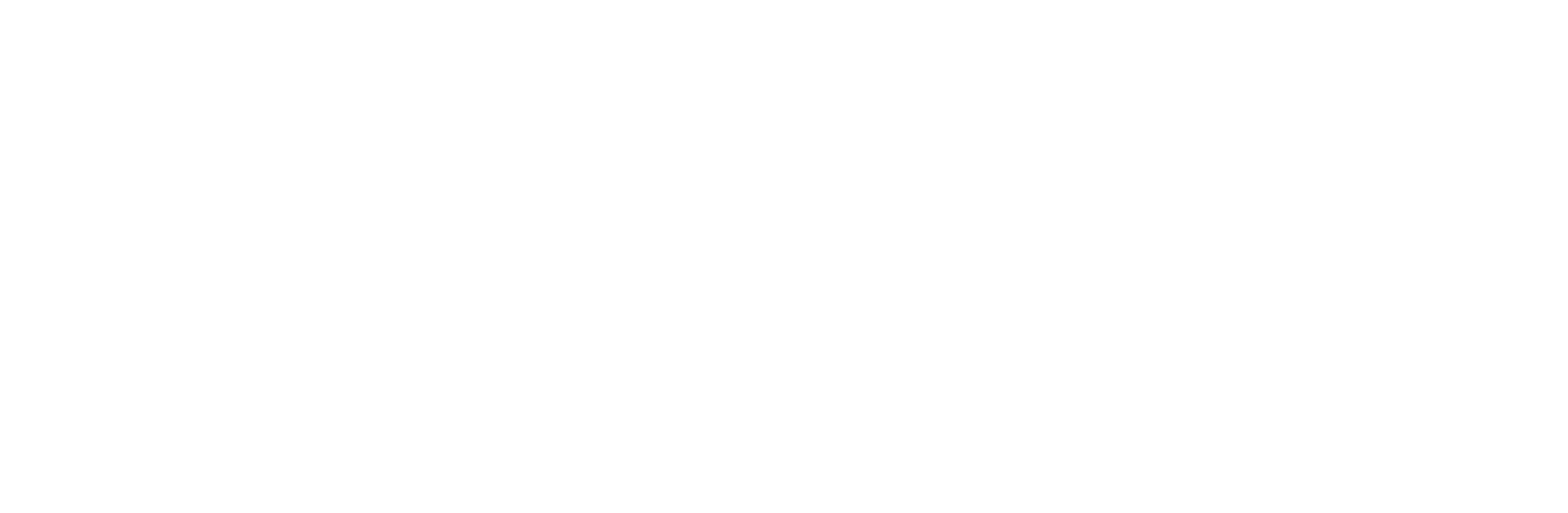 Company Logo - Footer