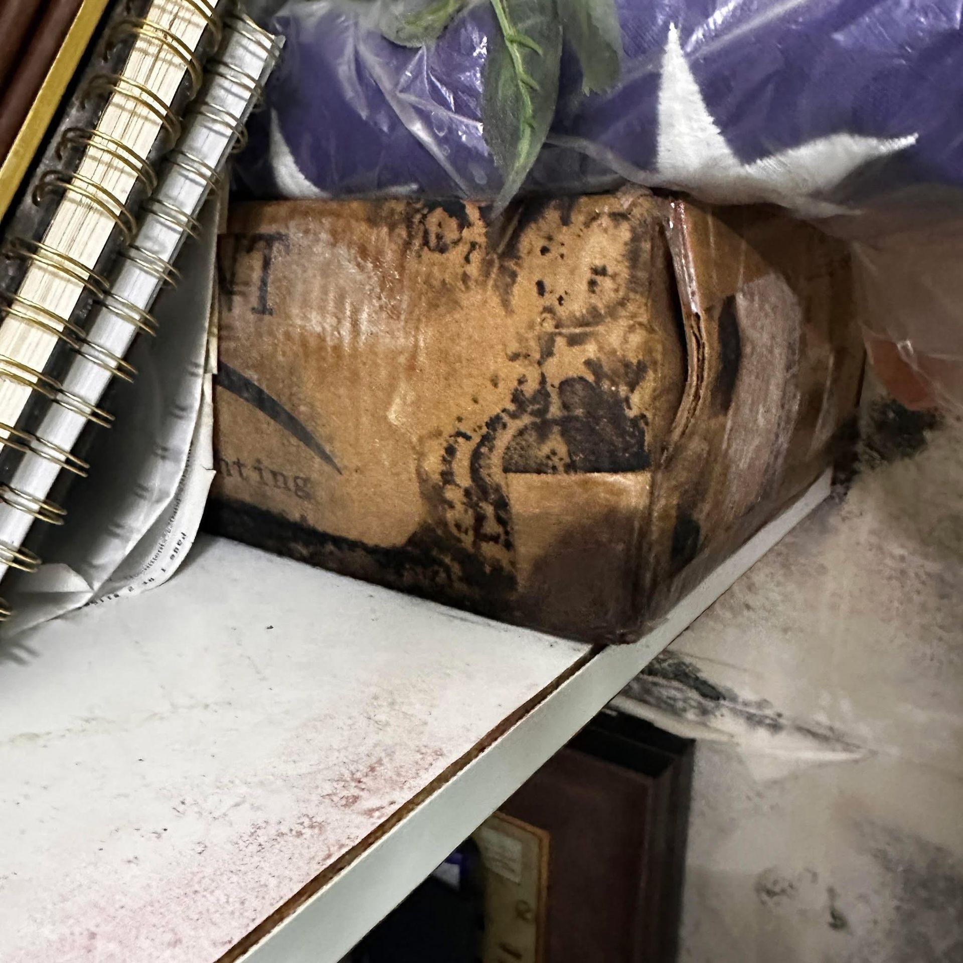 Mold