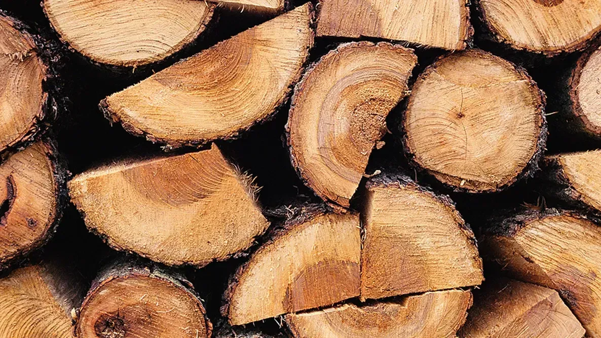 A pile of firewood. A pile of firewood.