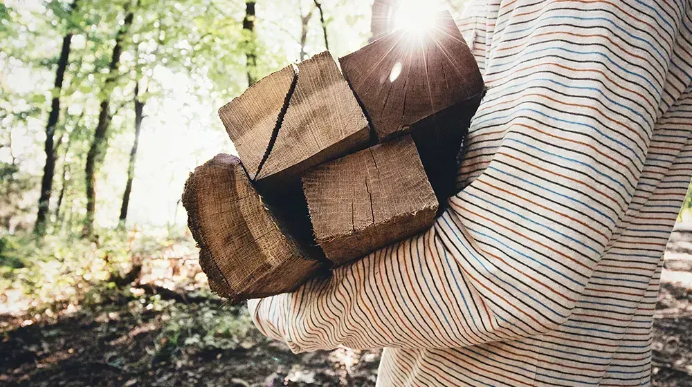 Person carrying stacked firewood outdoors in a wooded area