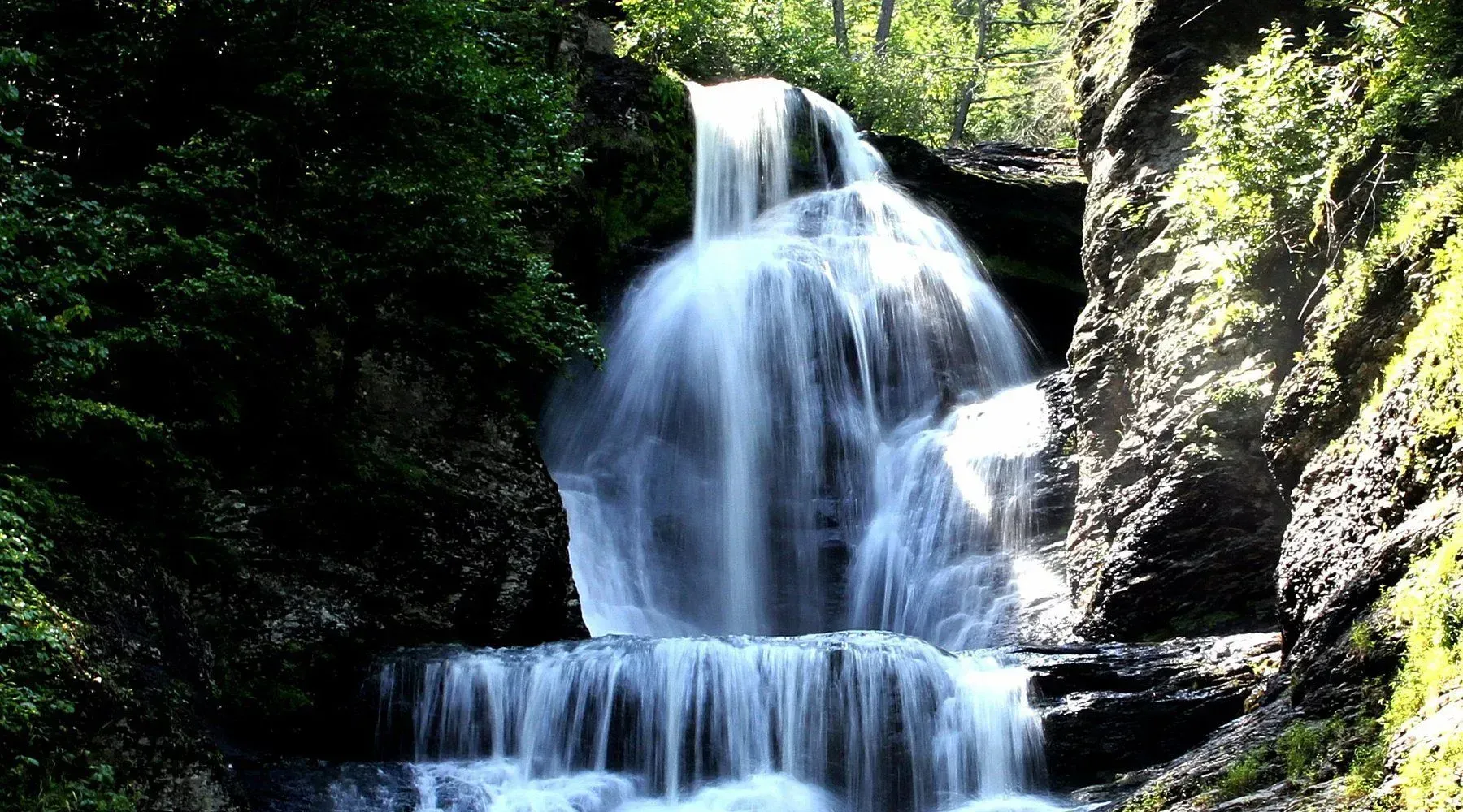 Sunlit waterfall cascading over dark rocks in a lush green forest