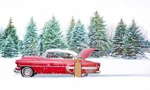 Winterizing Vehicles | Cappel's Complete Car Care