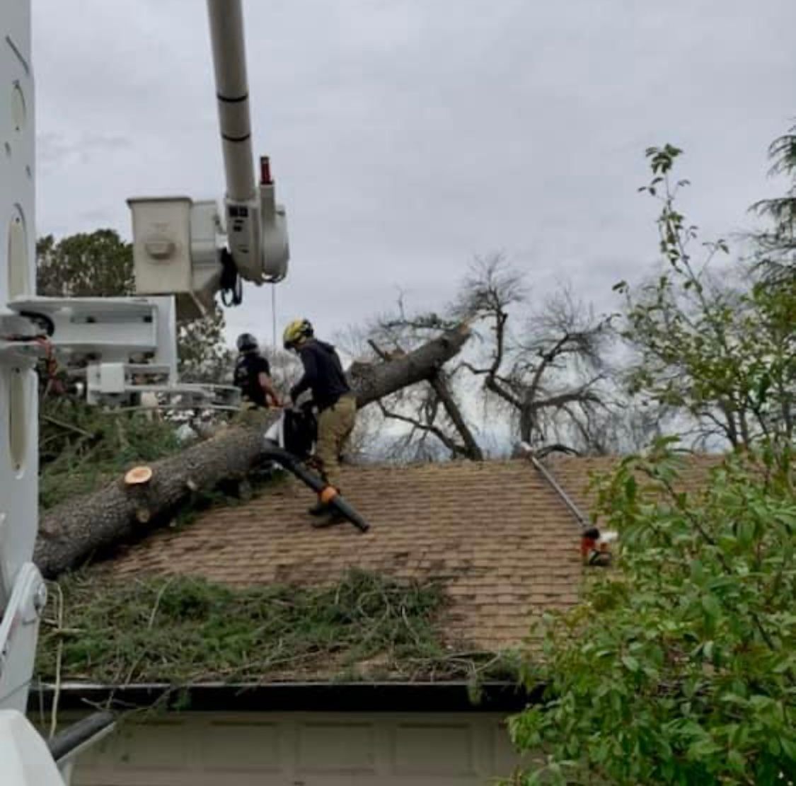 storm damage clean up