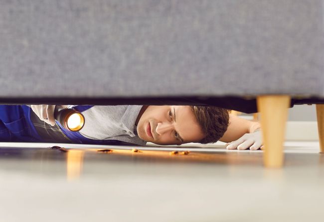 A professional in a uniform uses a flashlight to inspect the floor underneath a piece of furniture.