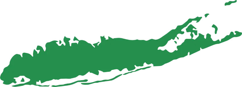 Green silhouette of Long Island on a white background