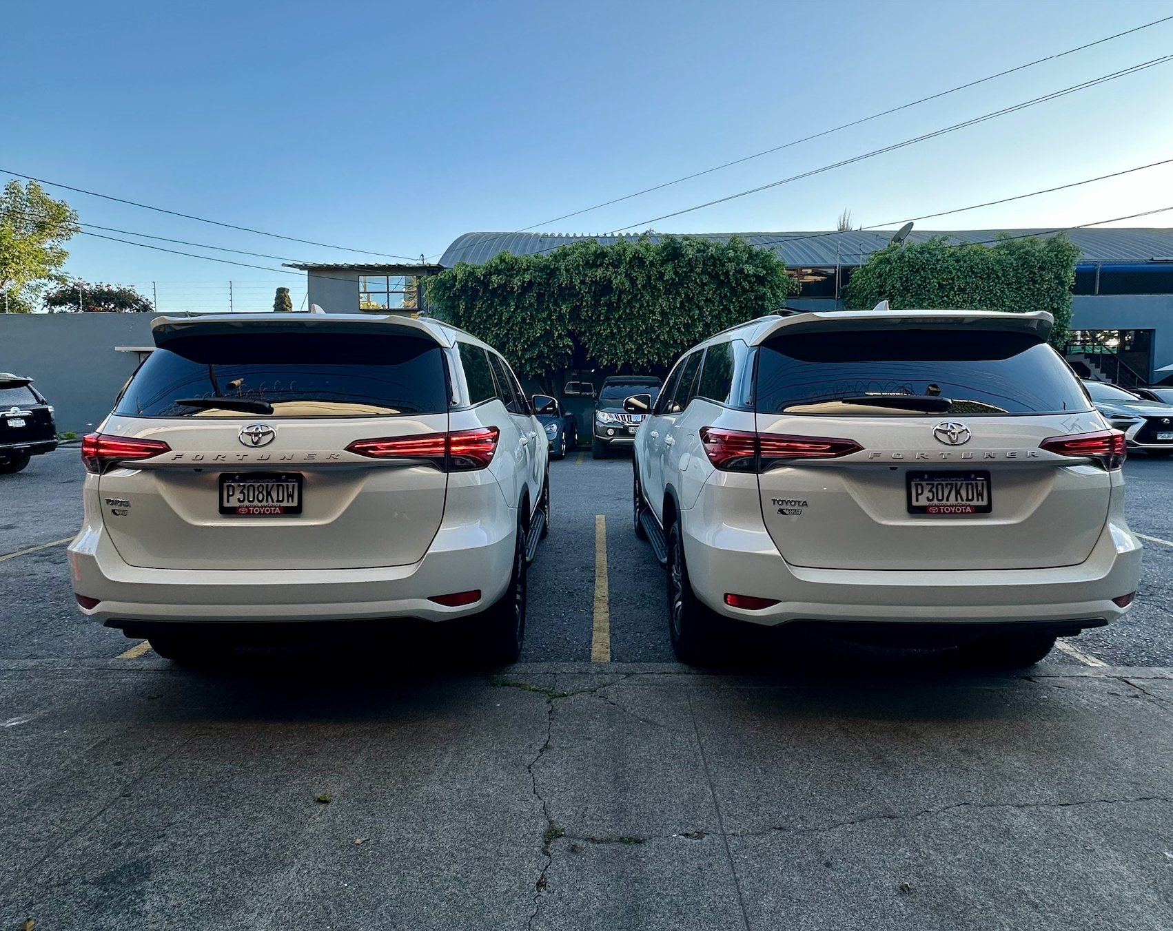 Dos SUV blancos estacionados uno al lado del otro en un aparcamiento, vista trasera, con un seto y una valla al fondo.