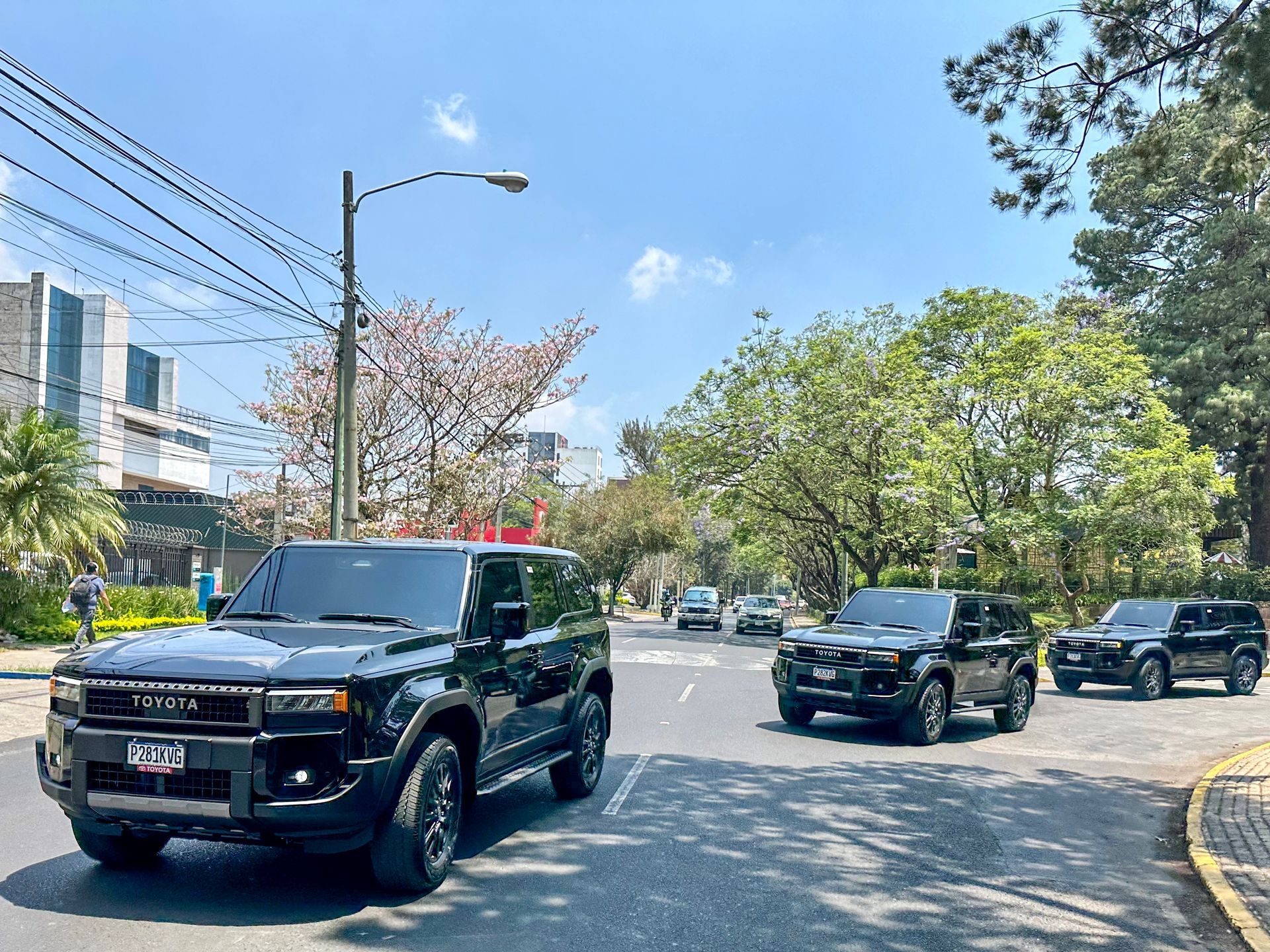 Tres camionetas SUV negras circulando por una soleada calle arbolada cerca de un bordillo.