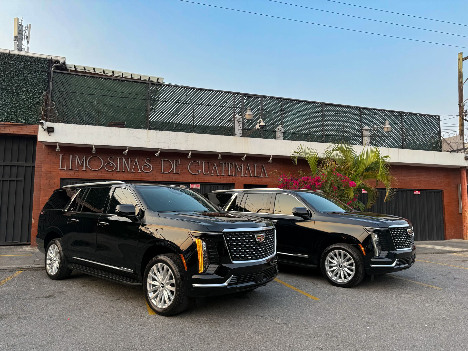 Dos camionetas SUV negras estacionadas frente a un edificio con un letrero y palmeras.