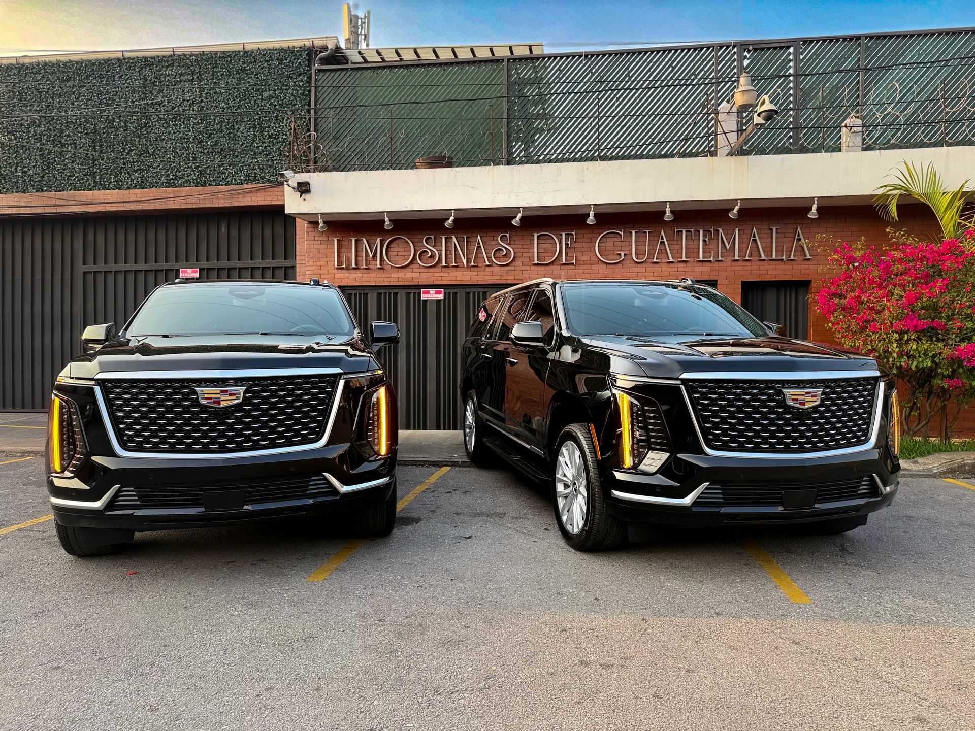 Dos camionetas Cadillac negras estacionadas frente a un edificio con un letrero que decía “Music D Cultural”.