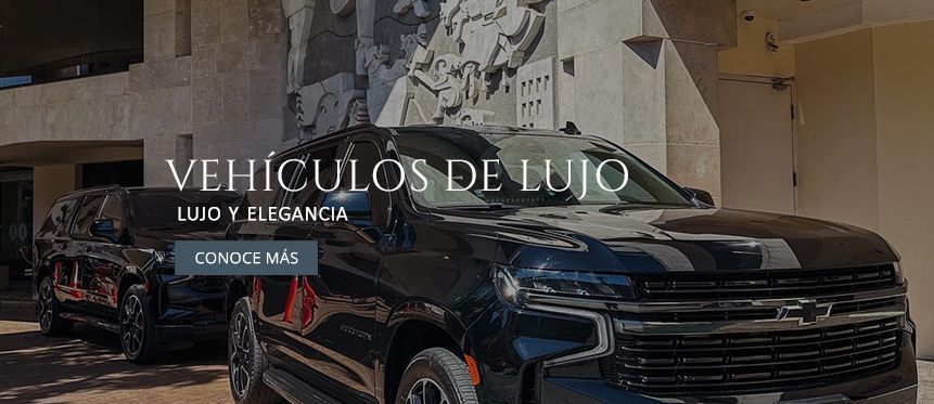 VEHÍCULOS DE LUJO VEHÍCULOS DE LUJO