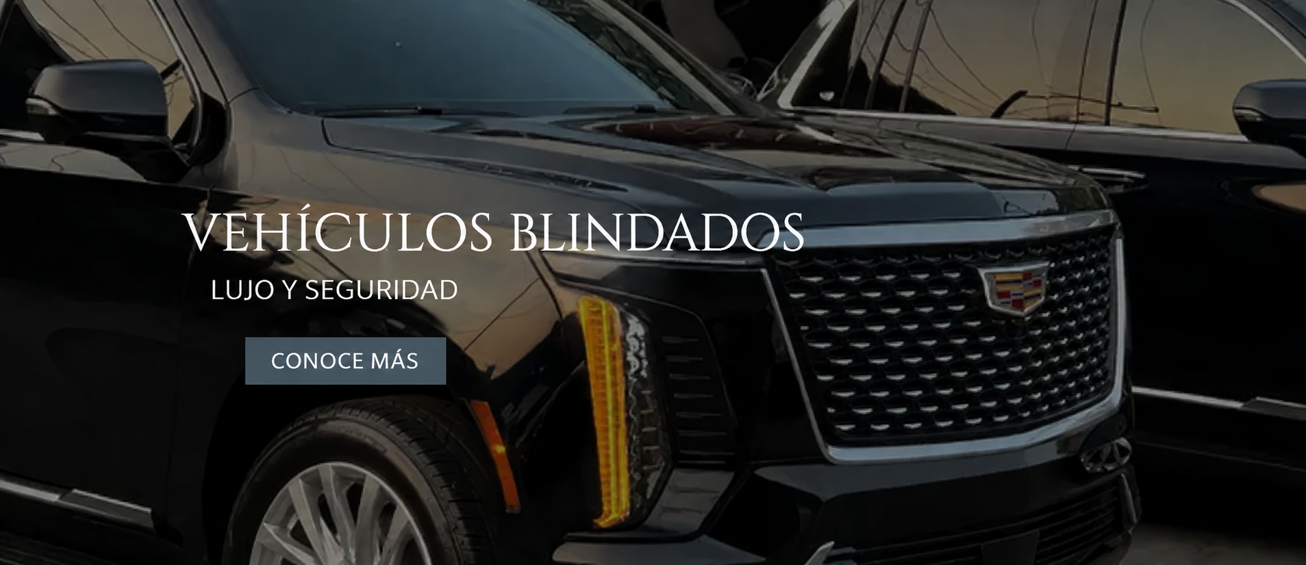 VEHÍCULOS BLINDADOS VEHÍCULOS BLINDADOS