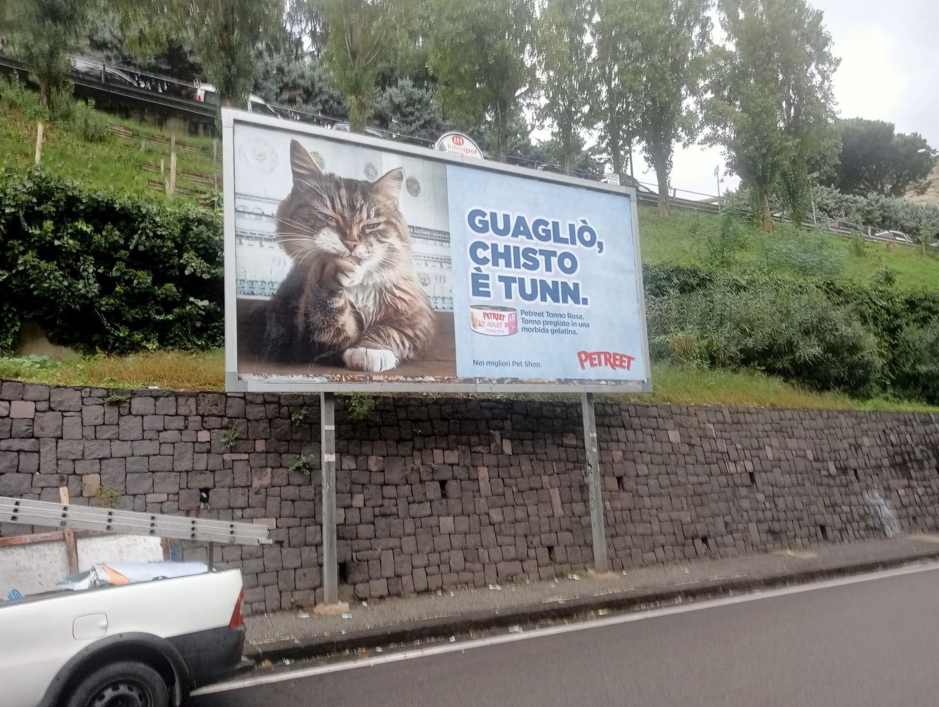 Descrizione immagine