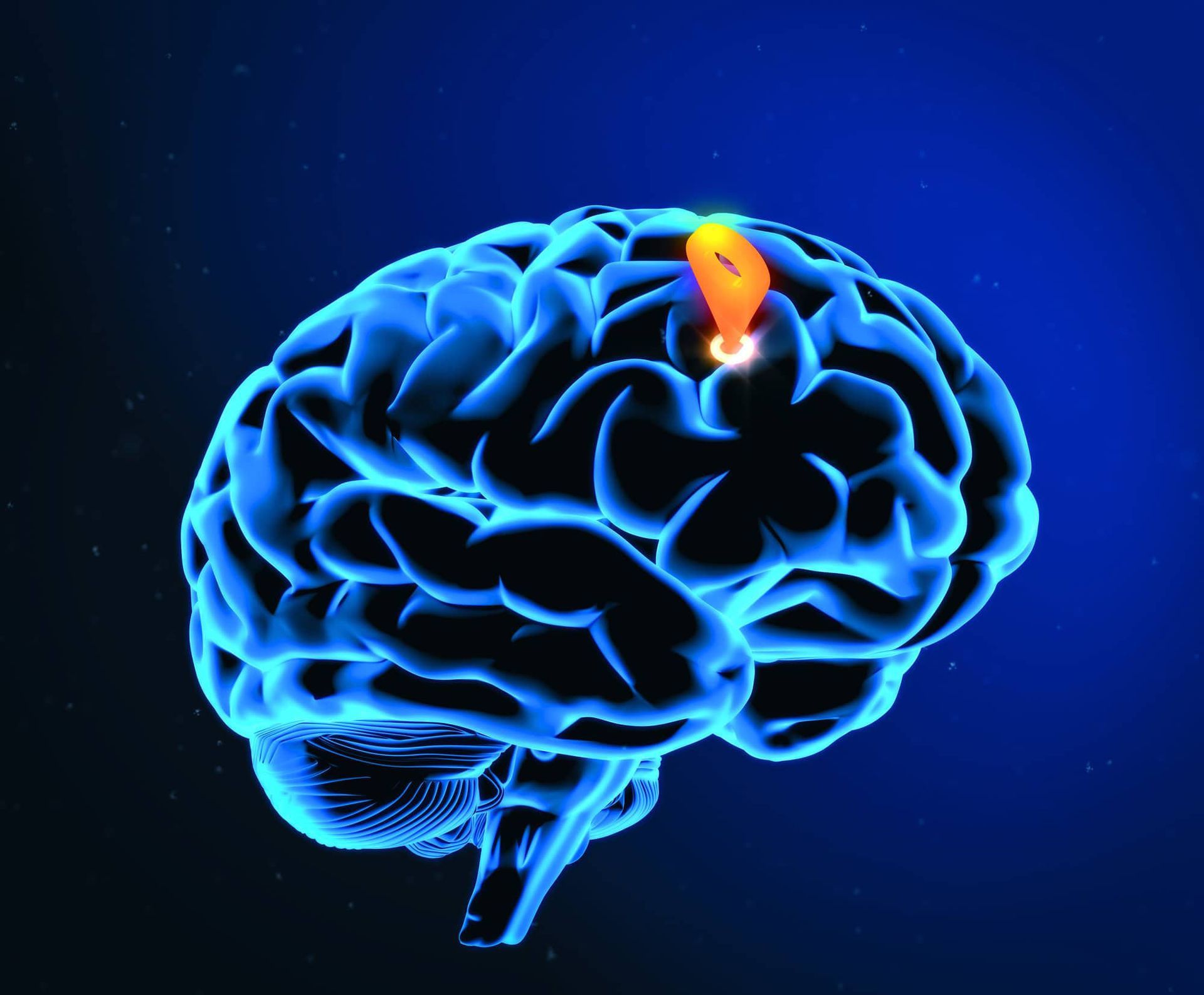 A computer generated image of a human brain from Nexus Neuropsychiatry PLLC