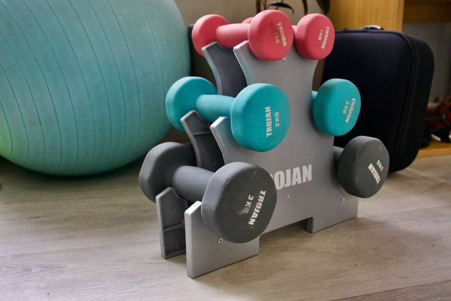 Dumbbell set in a gray rack; pink, teal, and gray weights. A blue exercise ball is in the background.