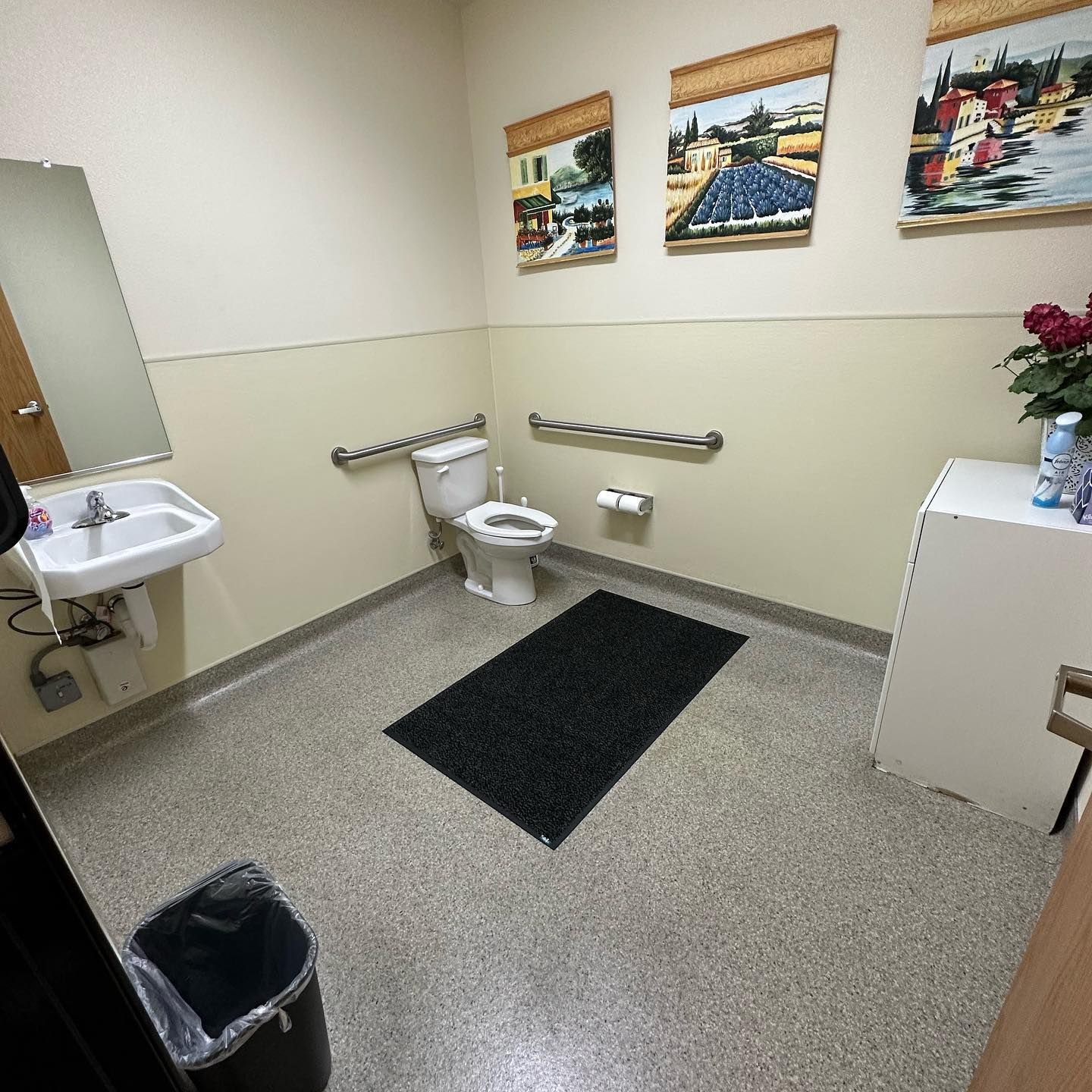 Bathroom Cleaning