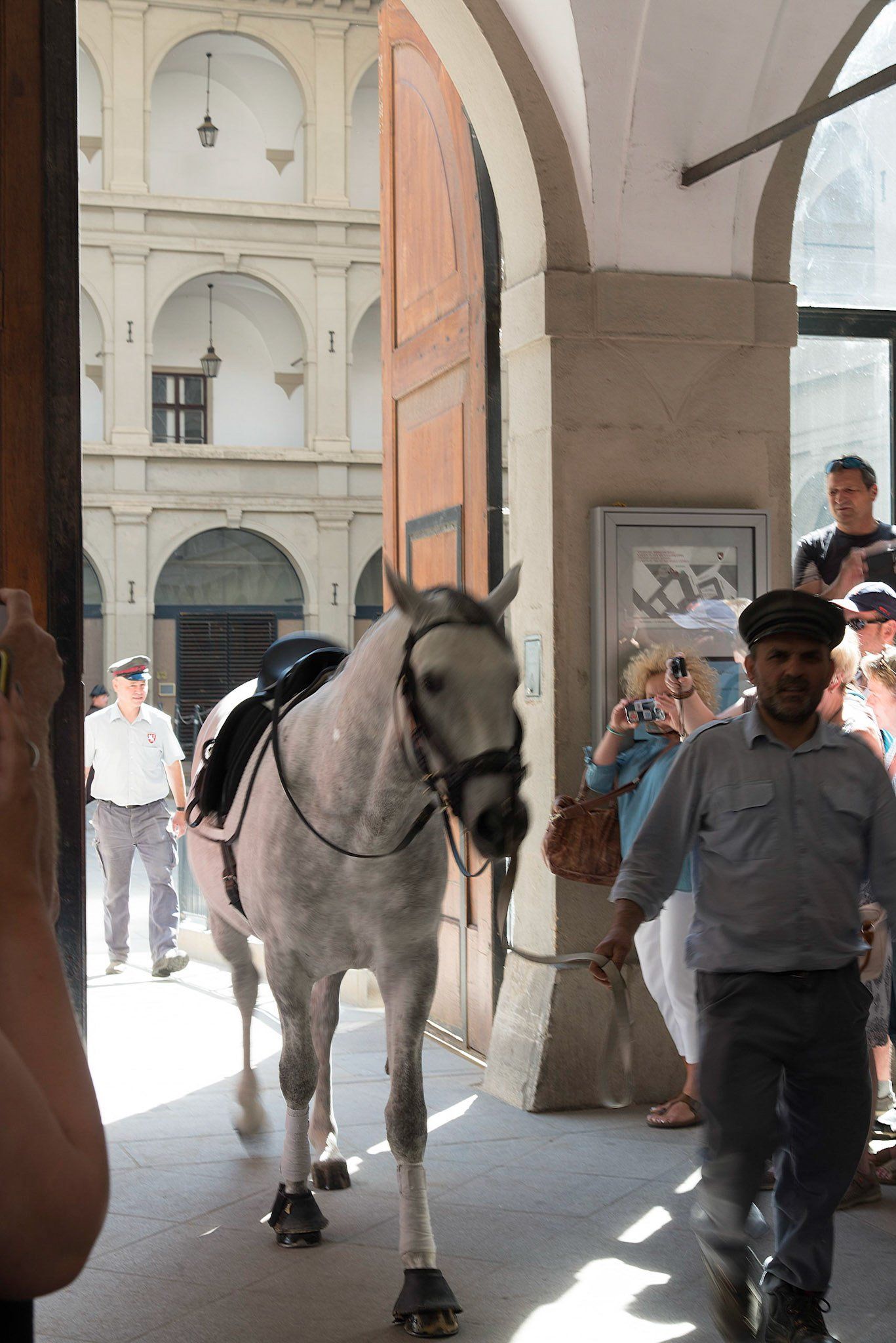 Example Photo of Dave Lynn Video & Photo Viking River Cruise Photography