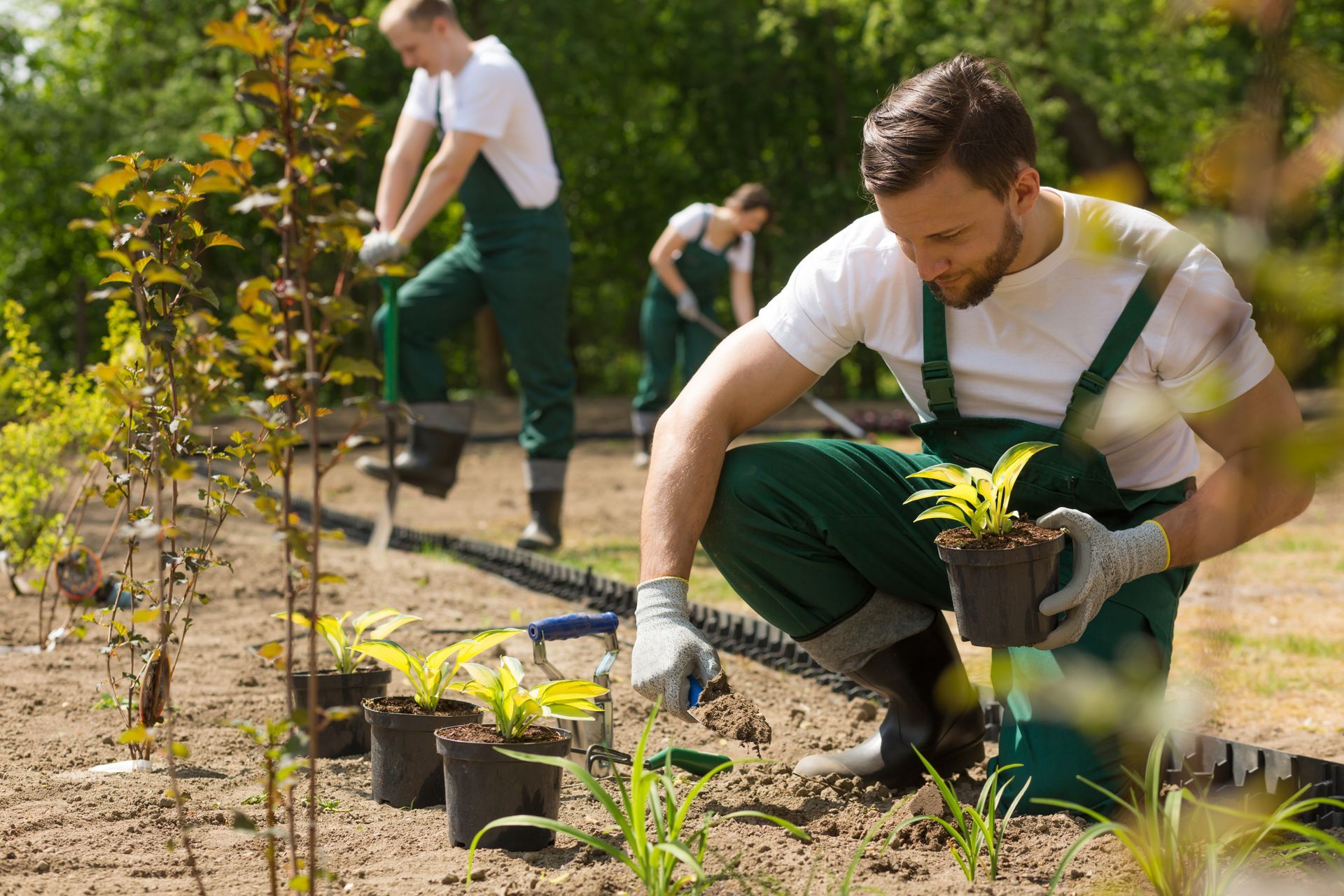 People planting young seedlings in a sunny garden, kneeling beside rows of pots and watering tools People planting young seedlings in a sunny garden, kneeling beside rows of pots and watering tools