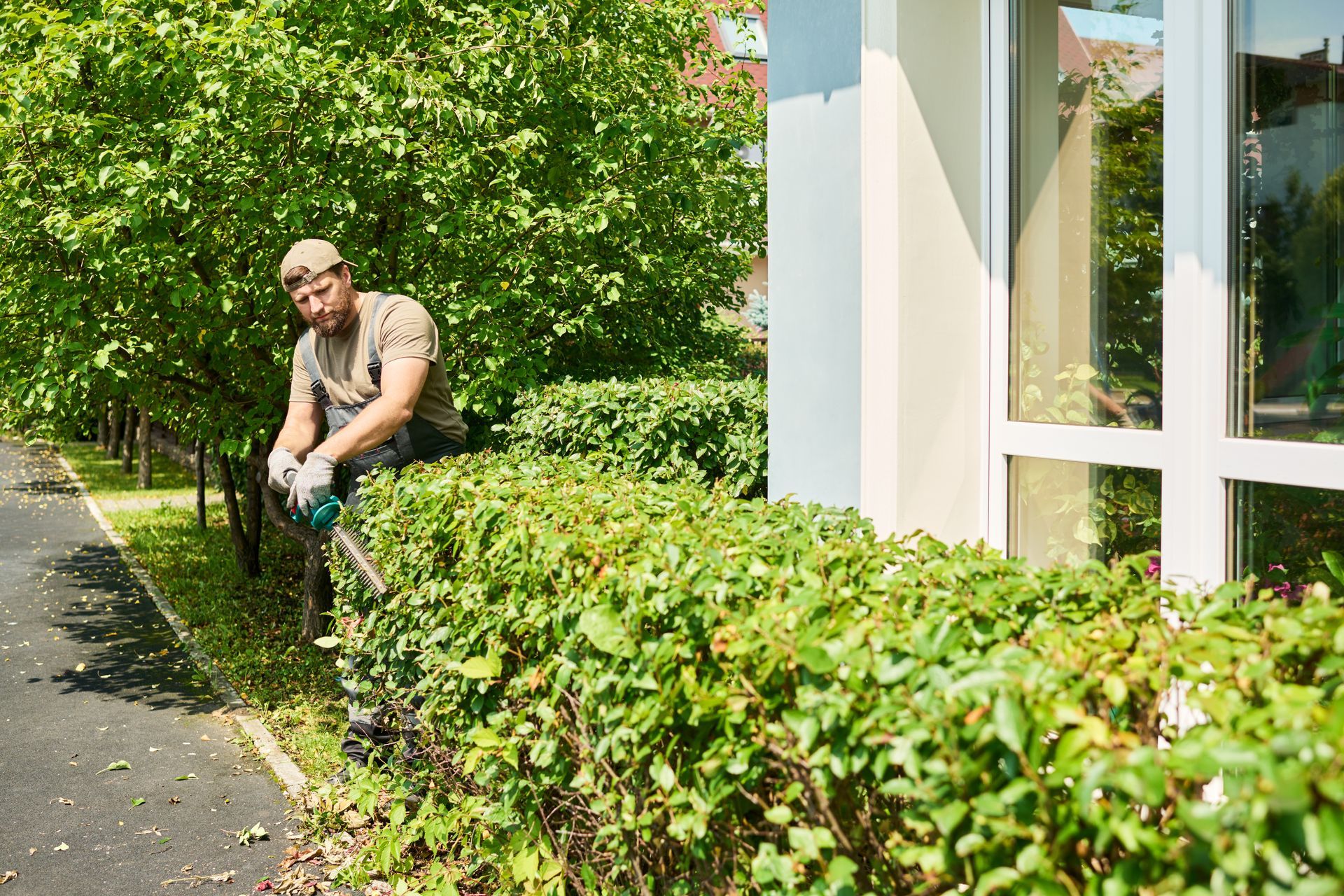Landscaper trimming a hedge outside a commercial building