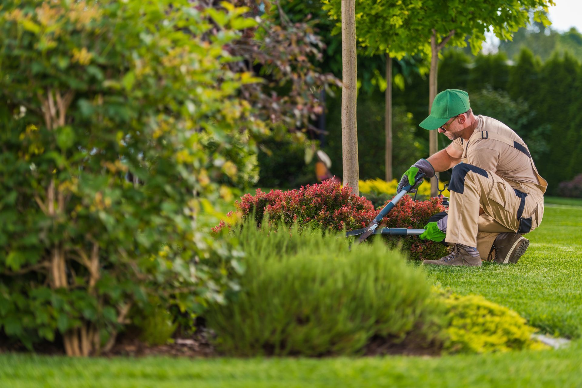 Gardener in a green cap trimming flowers in a lush garden with bright green shrubs Gardener in a green cap trimming flowers in a lush garden with bright green shrubs