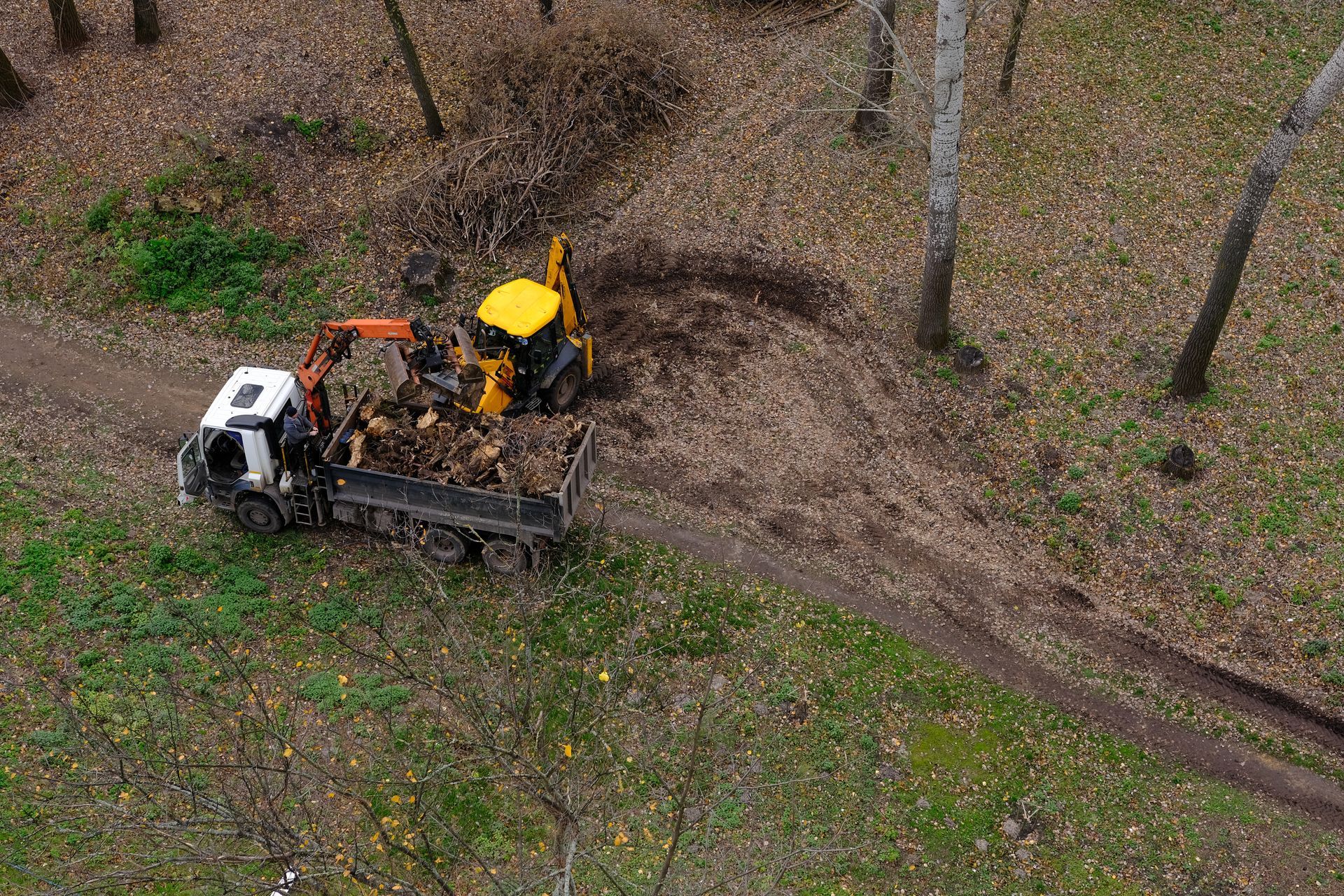 White truck and yellow excavator clearing a muddy forest path among bare trees White truck and yellow excavator clearing a muddy forest path among bare trees