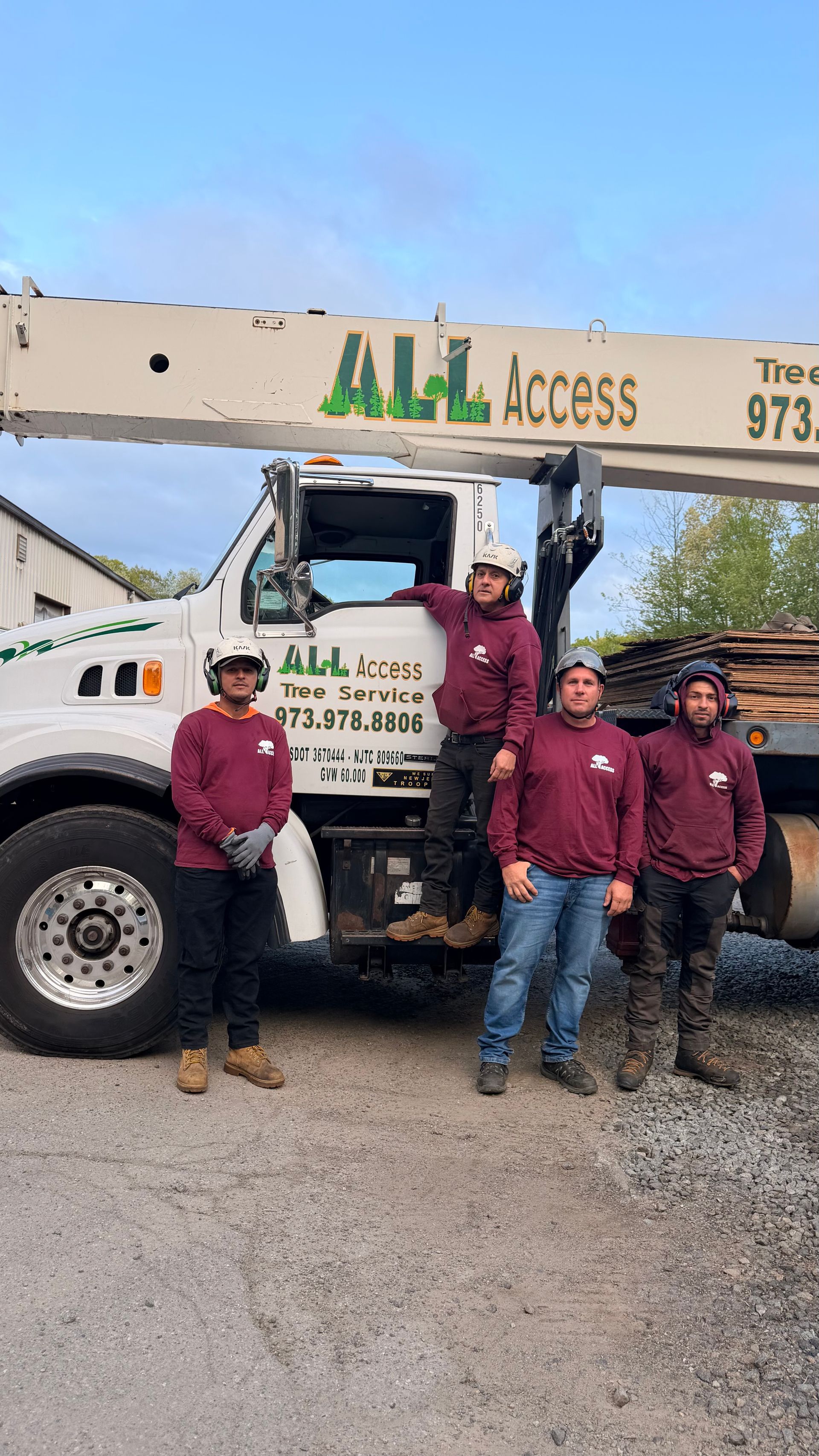 Gloved hands planting a green shrub in a garden bed with mulch Gloved hands planting a green shrub in a garden bed with mulch
