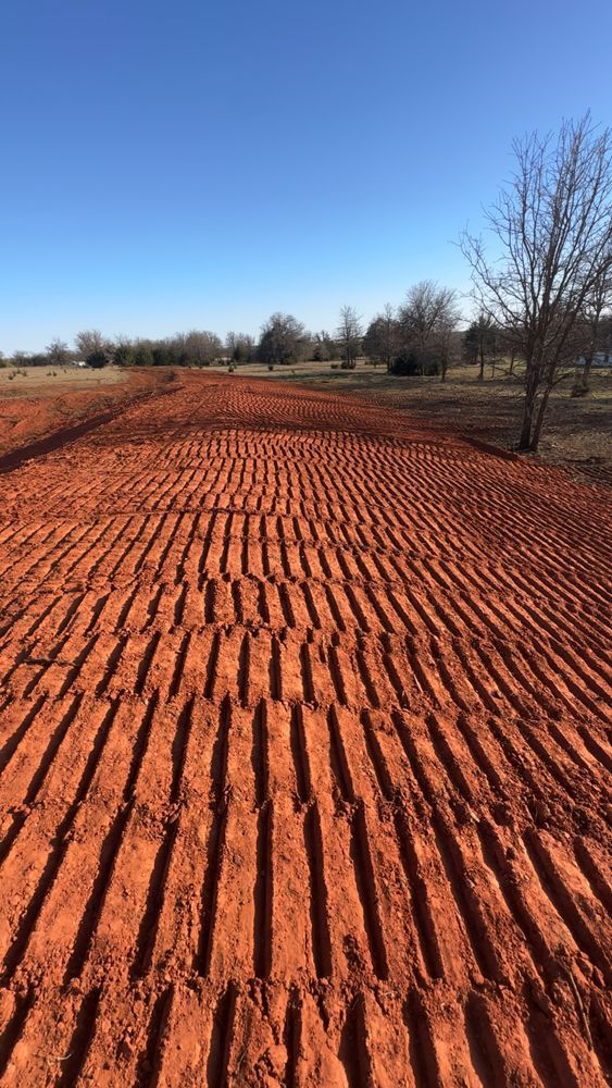 Freshly tilled red soil field with furrows under a clear blue sky, bordered by leafless trees