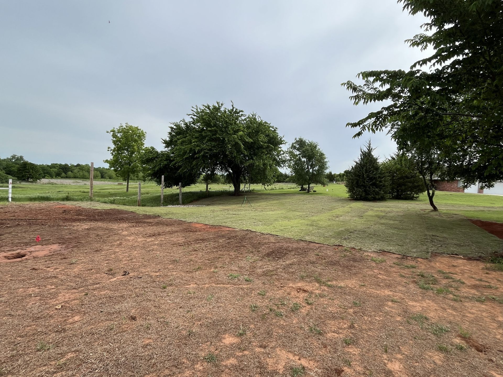 Open field with scattered trees under a cloudy sky, beside a bare dirt patch and grassy lawn.