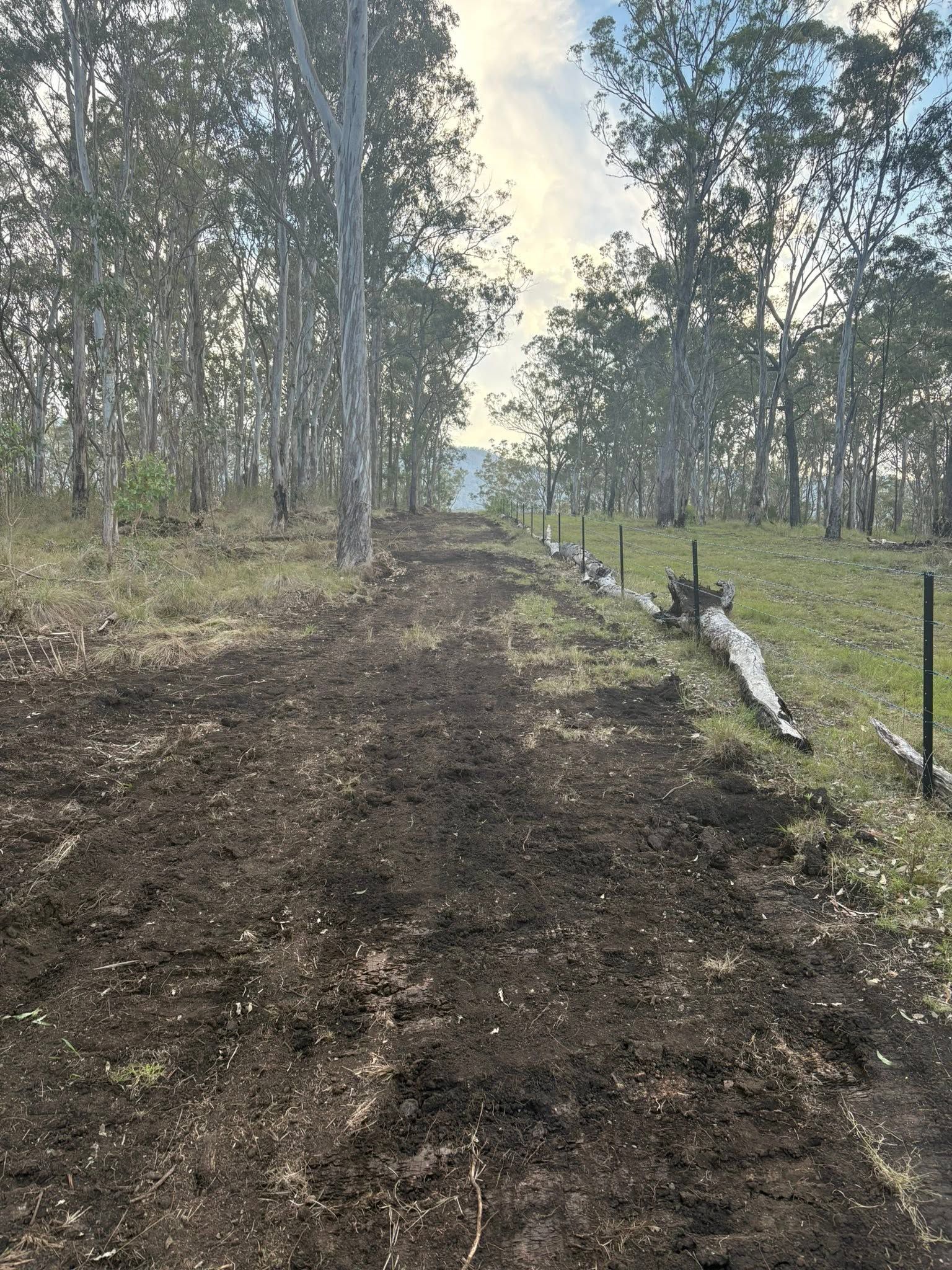 Fence line clearing