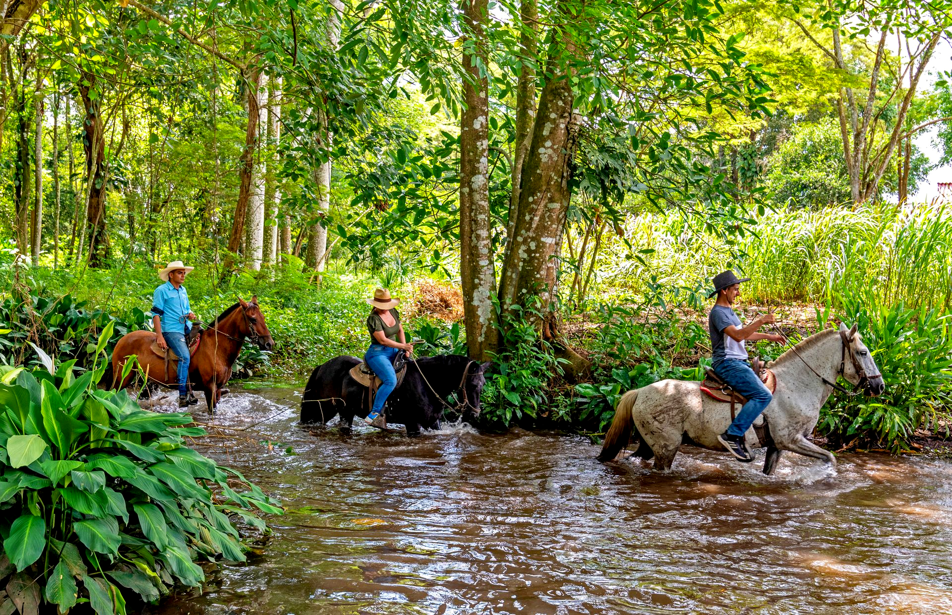 Llanero a caballo guiando huespedes en el río durante un viaje a Villavicencio.