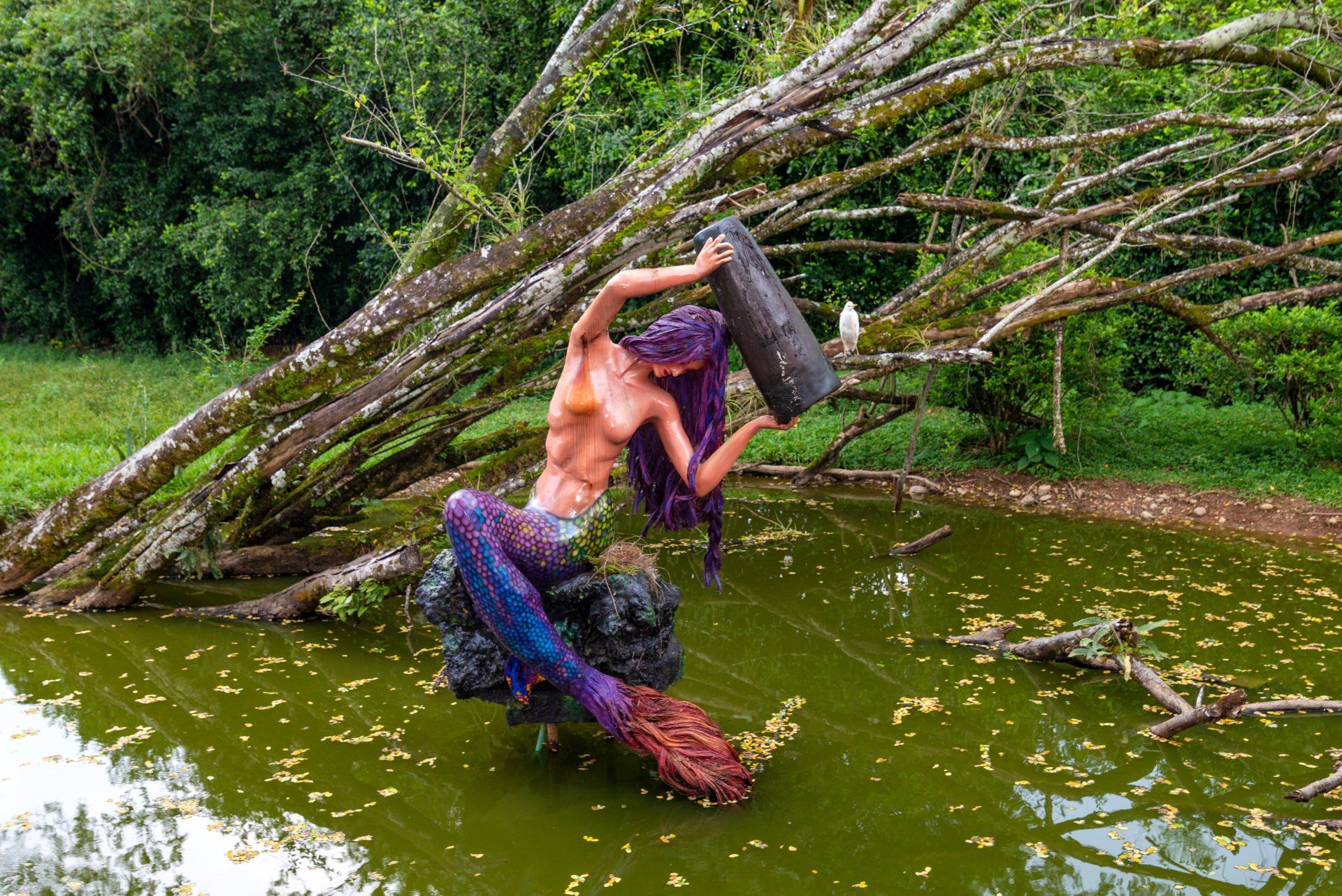 parque malocas