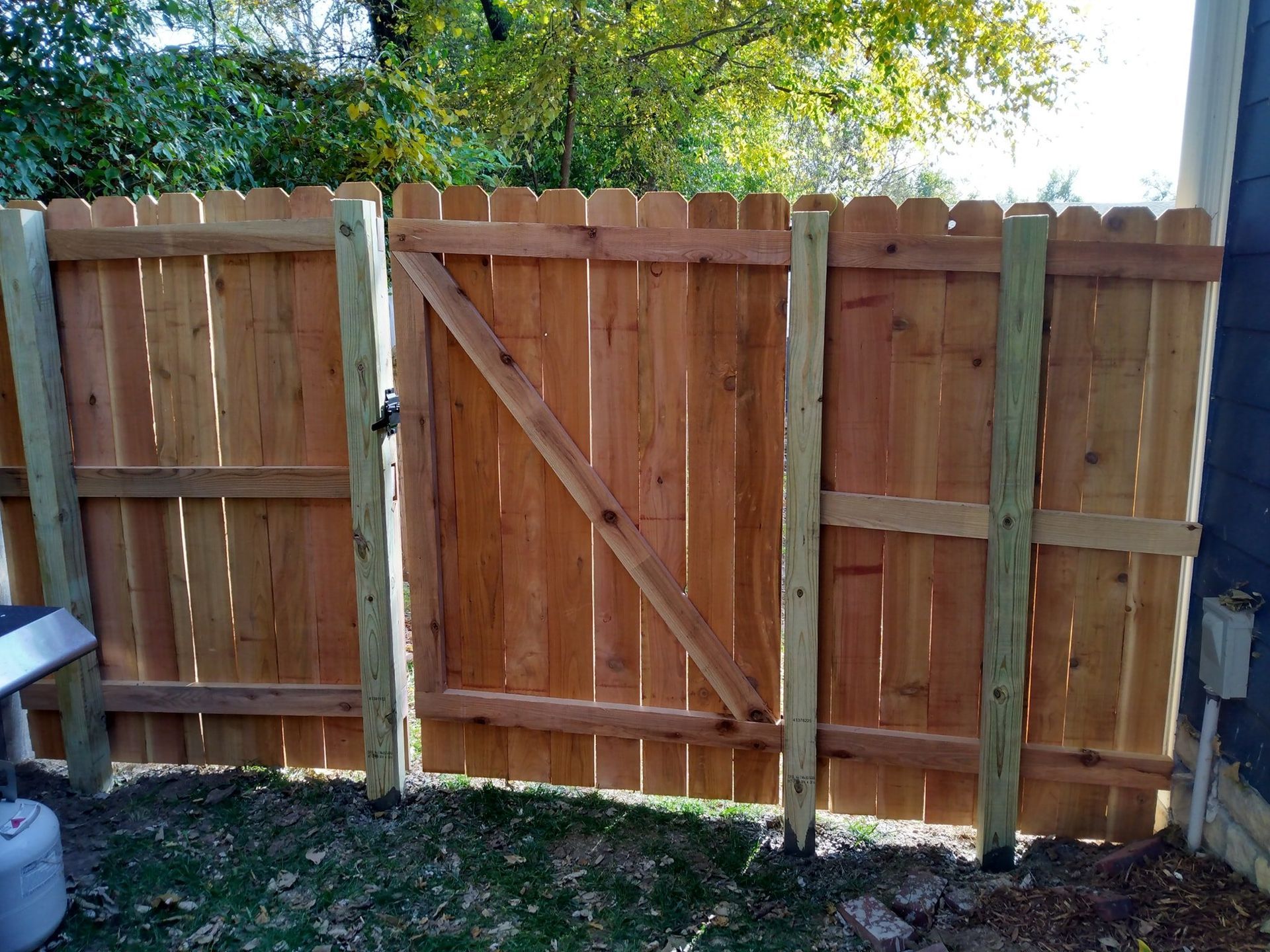 Wooden backyard fence with a central gate and diagonal brace, viewed in daylight
