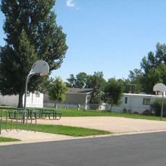 Basketball hoop