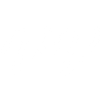 Valley Village Logo