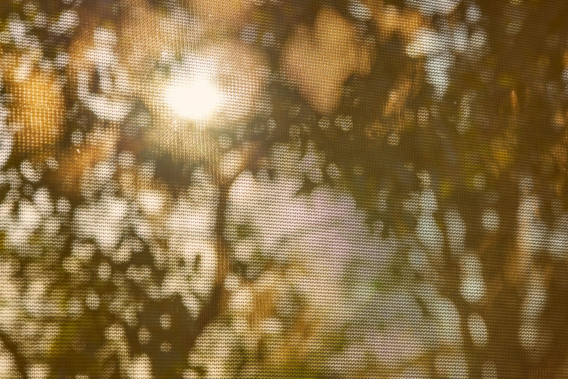 Tree shadows on window screen.