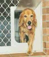 large pet door for screen doors canberra