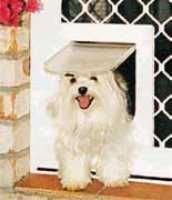 small pet door for screen doors canberra