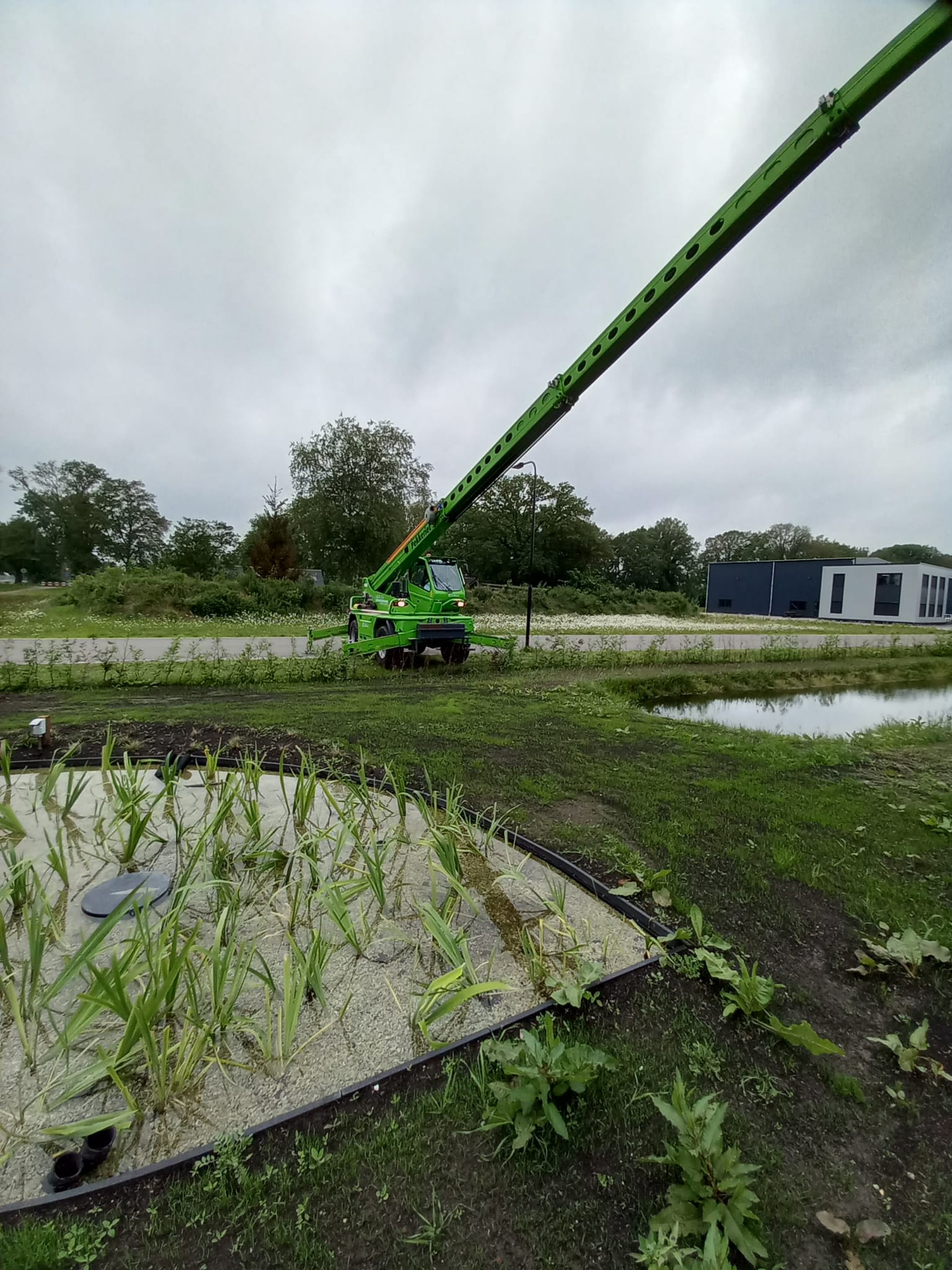 Een groene kraanvogel zit midden in een veld.