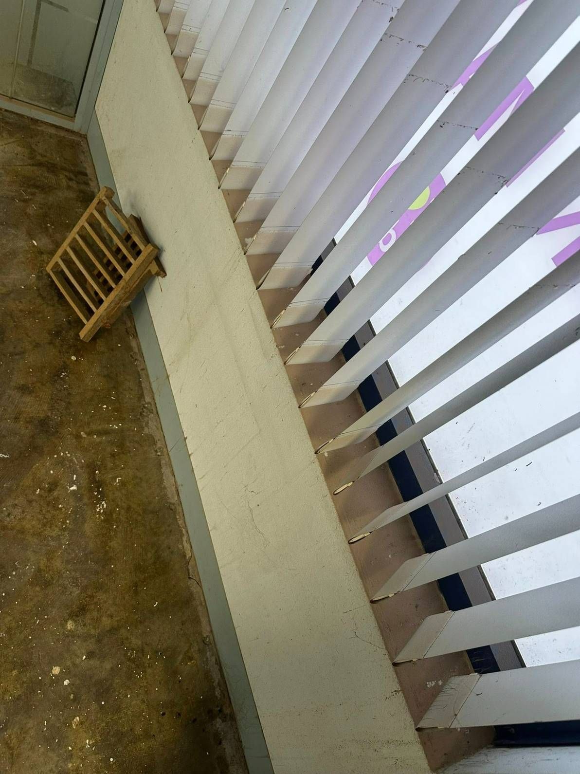 A Window With Blinds and a Drain on the Floor — Doobies Cleaning Service in Port Macquarie, NSW