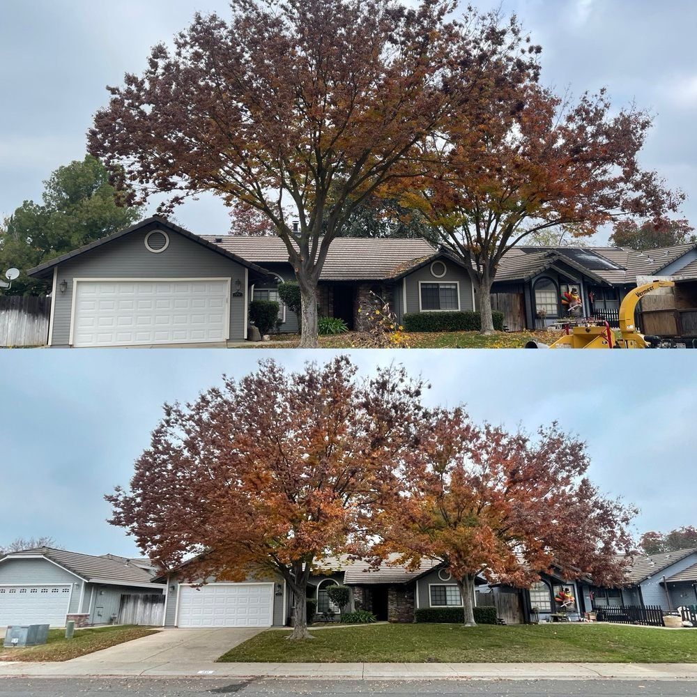 Two photos of a suburban house with a large autumn-colored tree in the front yard.