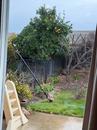 Backyard with leafy tree, fence, lawn, and a string trimmer on the grass