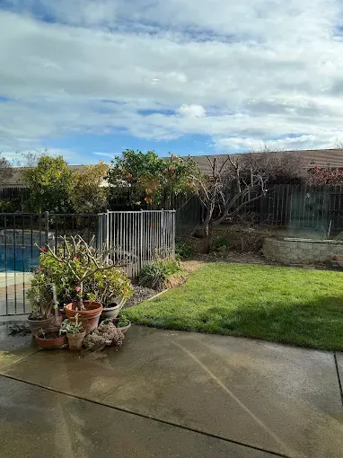 Backyard patio with wet concrete, potted plants, green lawn, fence, and cloudy sky