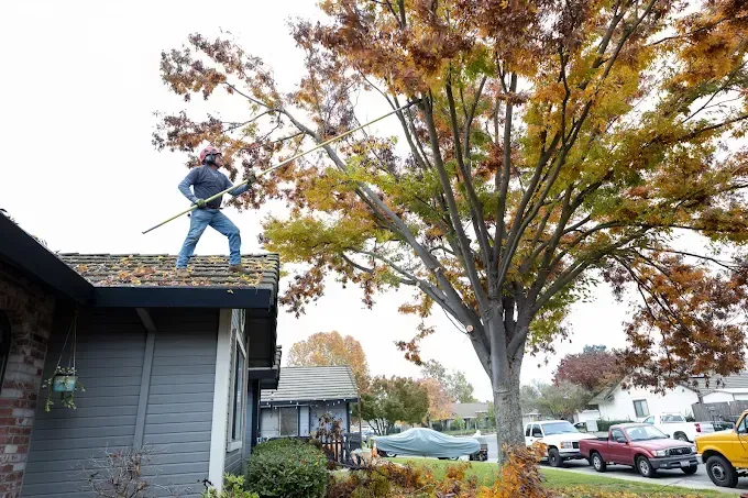 Person working on a roof beside a large autumn tree and parked cars in a residential neighborhood